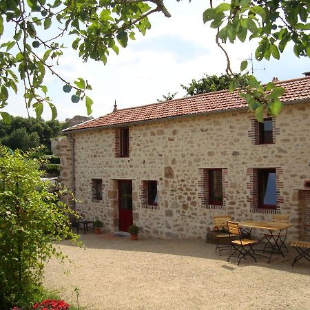 Demeure Du Castel Bed & Breakfast Les Chatelliers-Chateaumur Exterior photo