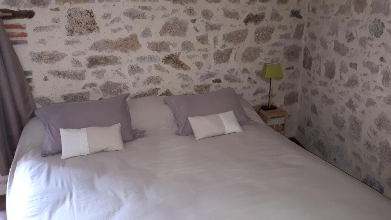 Demeure Du Castel Bed & Breakfast Les Chatelliers-Chateaumur Exterior photo