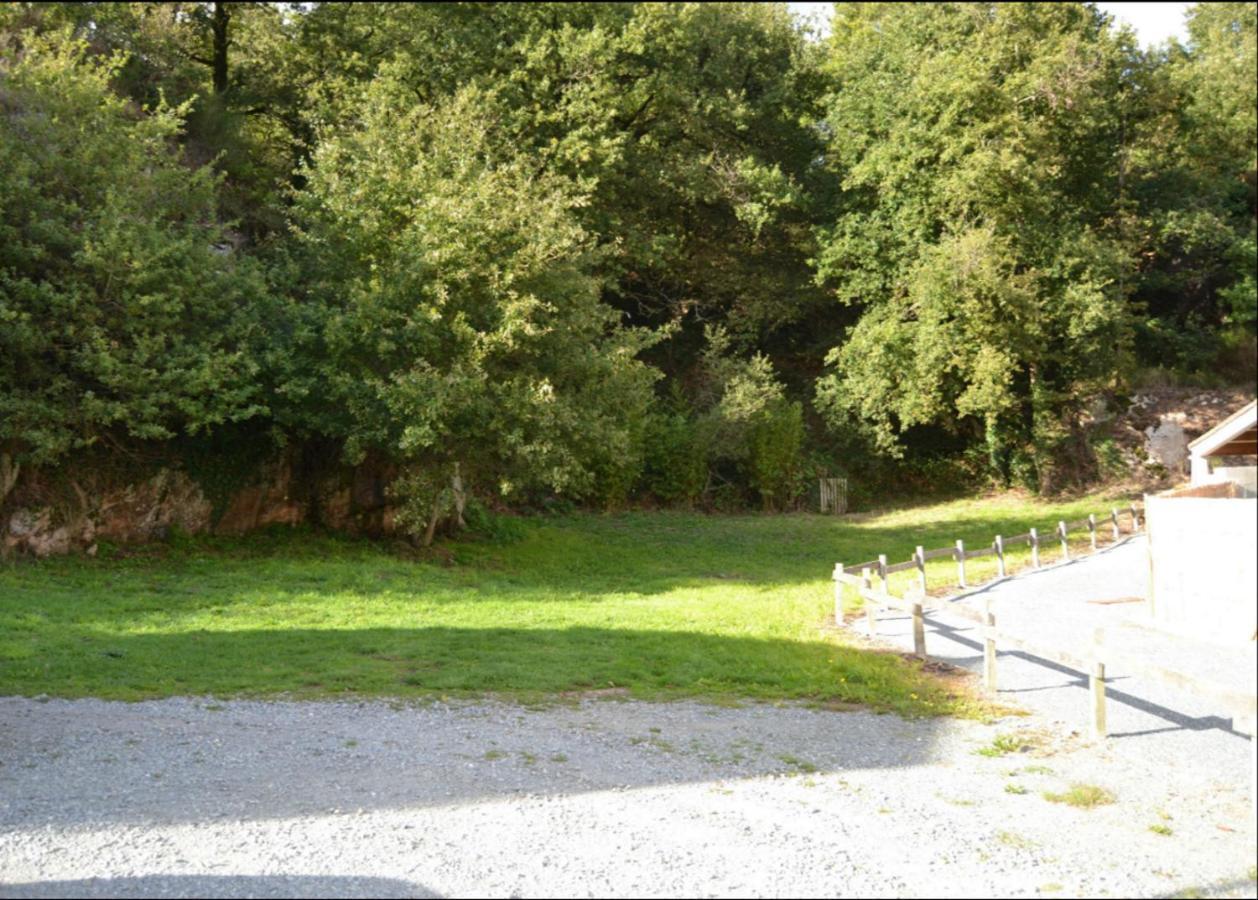 Demeure Du Castel Bed & Breakfast Les Chatelliers-Chateaumur Exterior photo